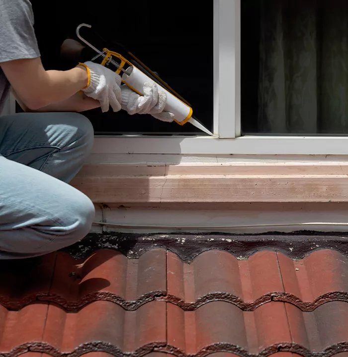 Roof Window Services in St. Cloud, Florida