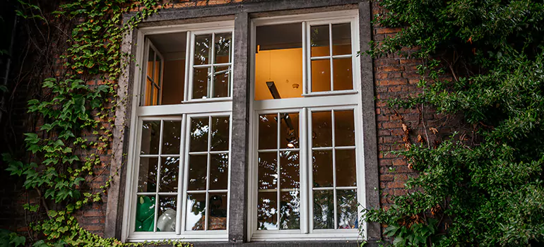 Energy Efficient Wood Windows in St. Cloud, FL