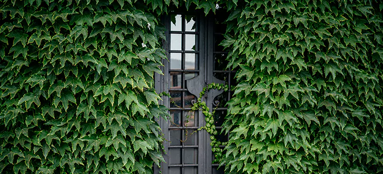 Garden Gate Repair in St. Cloud, FL
