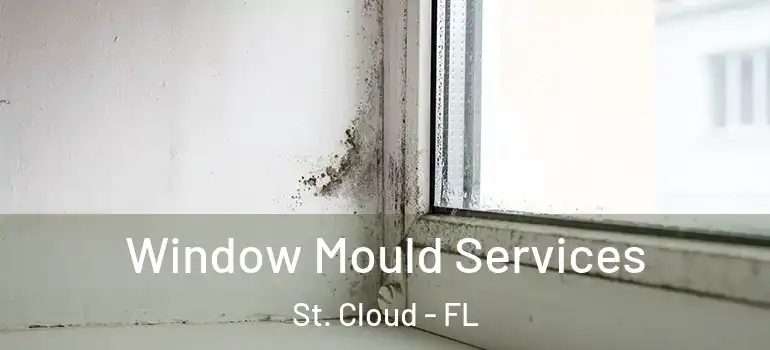  Window Mould Services St. Cloud - FL